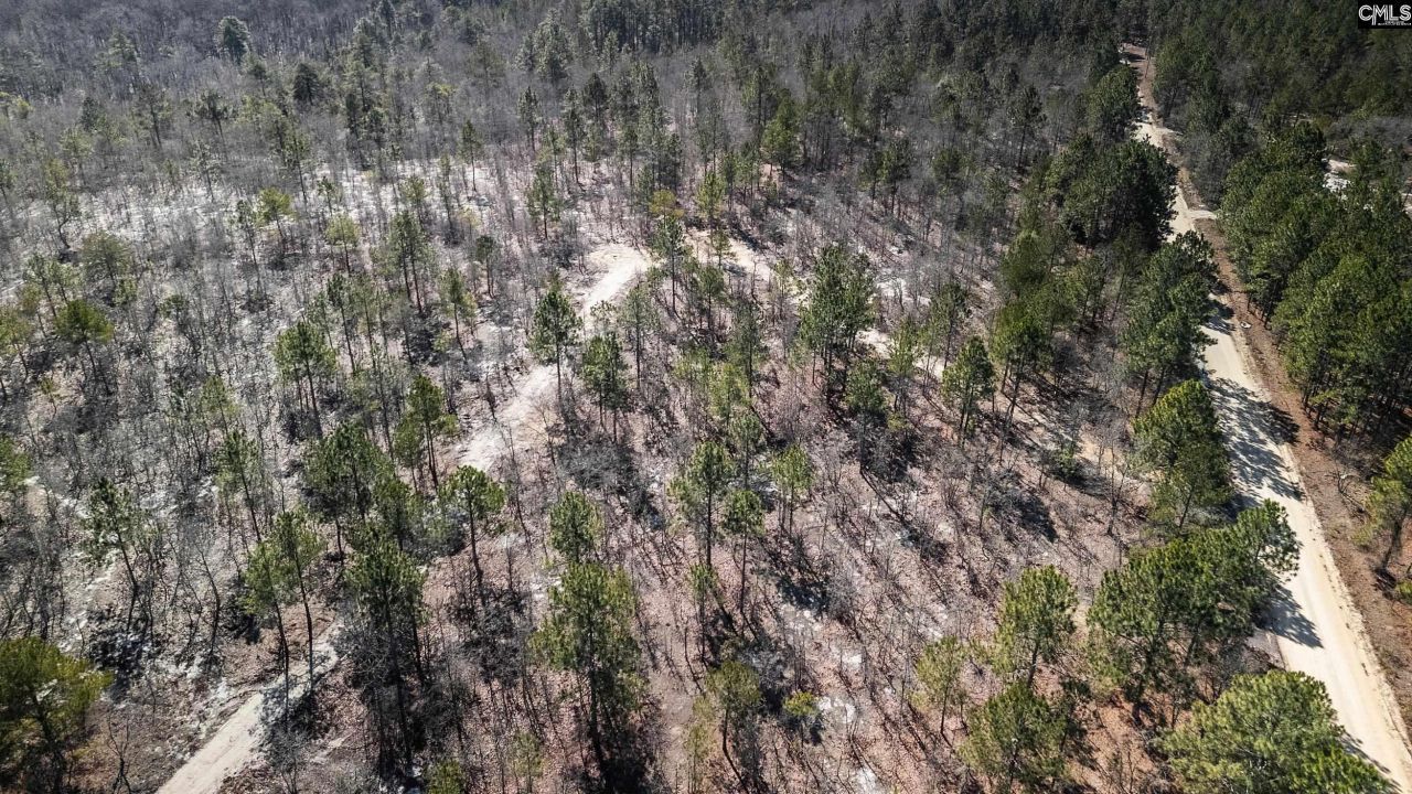 1d Spring Creek Road Photo 10