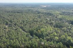 1d Spring Creek Road photo 4