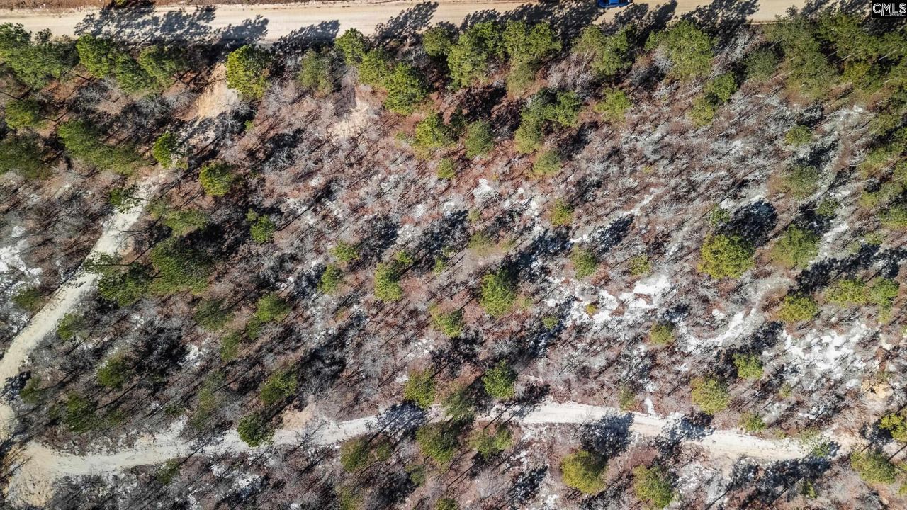 1d Spring Creek Road Photo 7