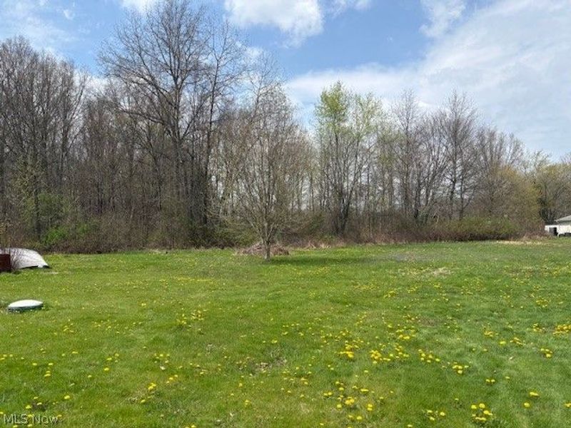 14065 Burden Road NE, Alliance, OH 44601 Photo 5