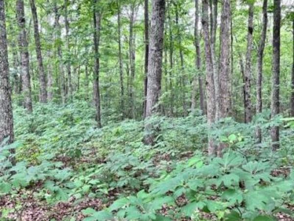 844 Parkstown Road, Wilder, TN 38589