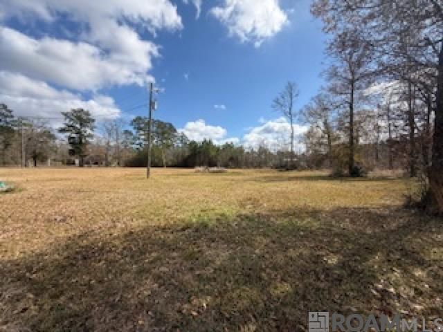 26307 Oliver Wheat Rd, Livingston, LA 70754 Main Photo