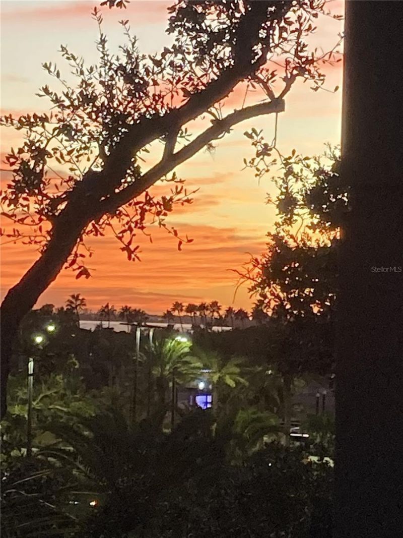 1268 11th Street, Unit 2403, Sarasota, FL 34236 Photo