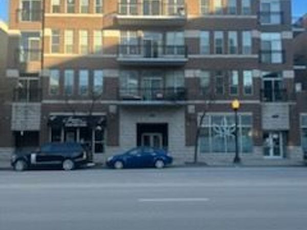 1919 S Michigan Avenue, Unit 400, Chicago, IL 60616