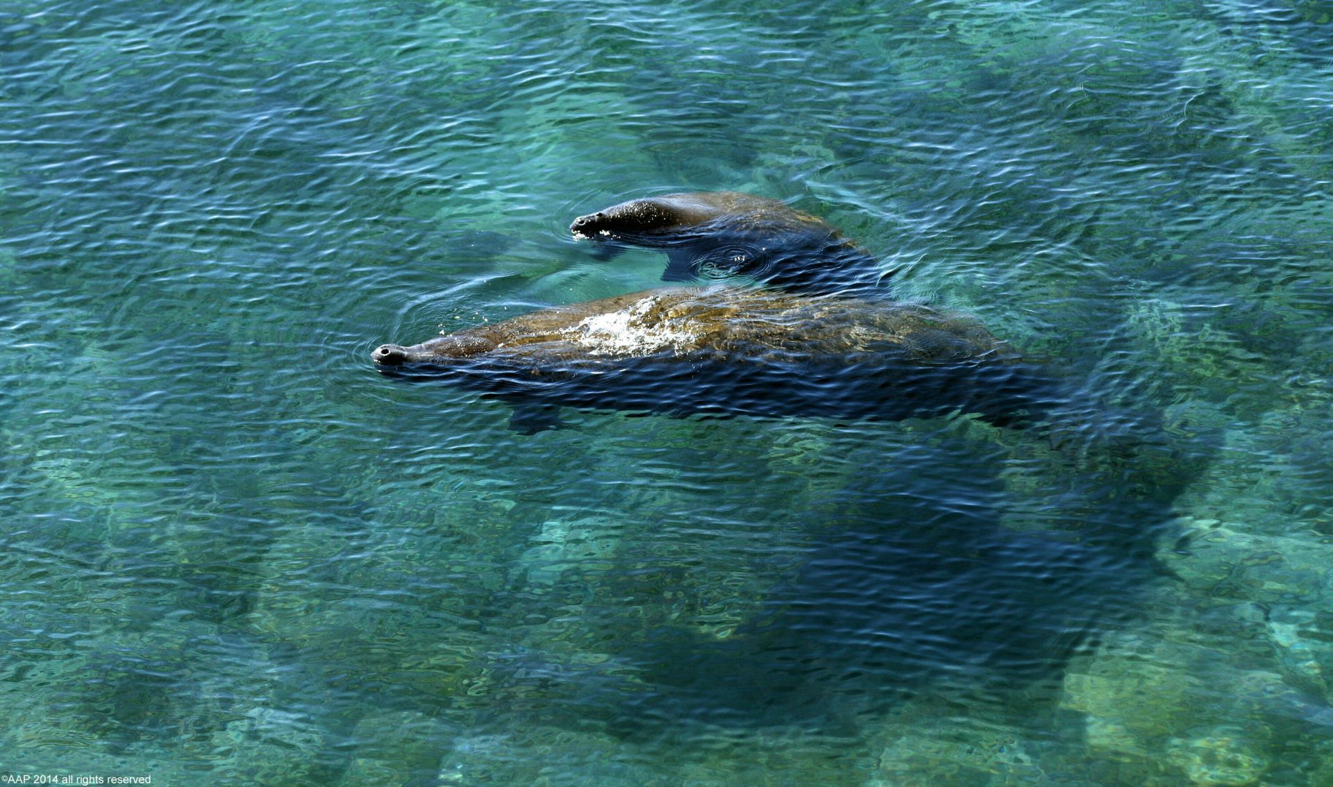 2700 N Ocean Drive, Unit 1803 A, Singer Island, FL 33404 Photo