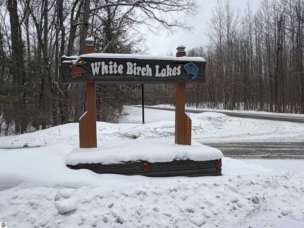 40 Squirrel Run, Farwell, MI 48622