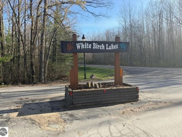 40 Squirrel Run, Farwell, MI 48622