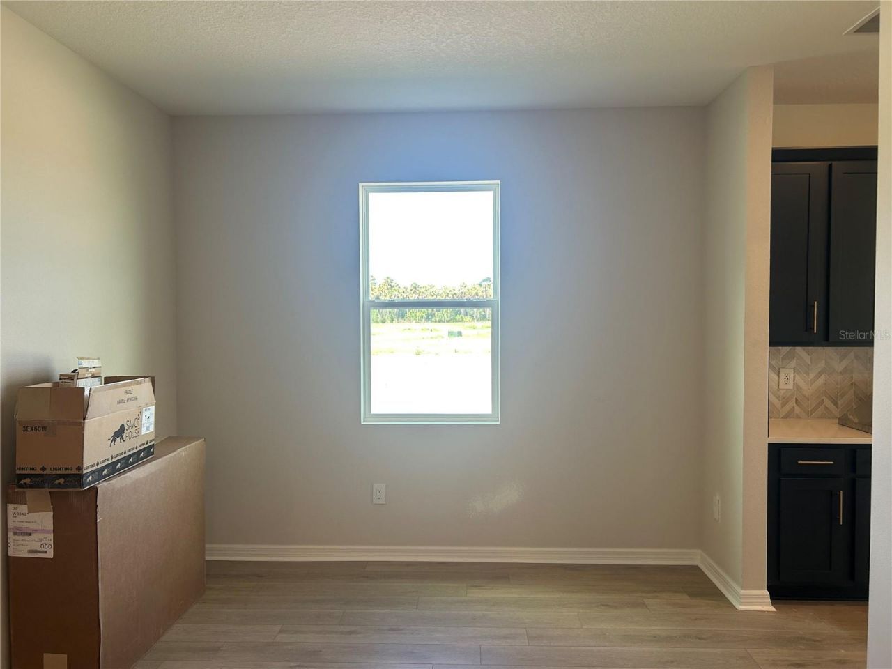 10026 Hidden Hammock Loop, Parrish, FL 34219 Photo