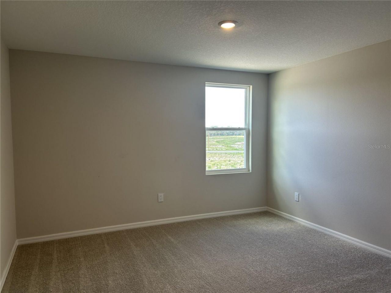 10026 Hidden Hammock Loop, Parrish, FL 34219 Photo