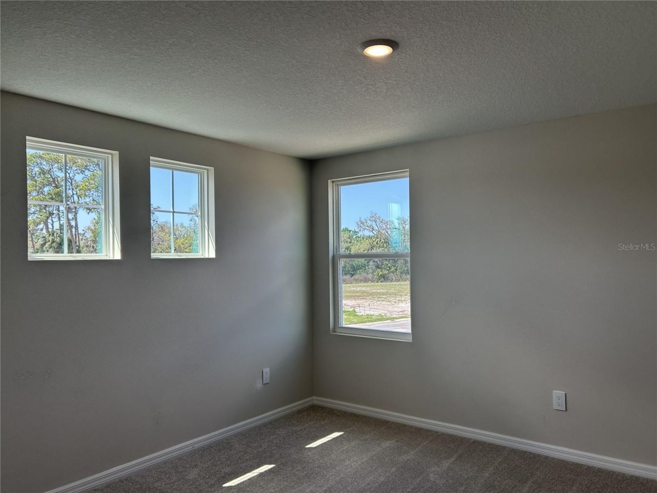 10026 Hidden Hammock Loop, Parrish, FL 34219 Photo