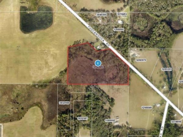 TUSCANOOGA ROAD, MASCOTTE, FL 34753