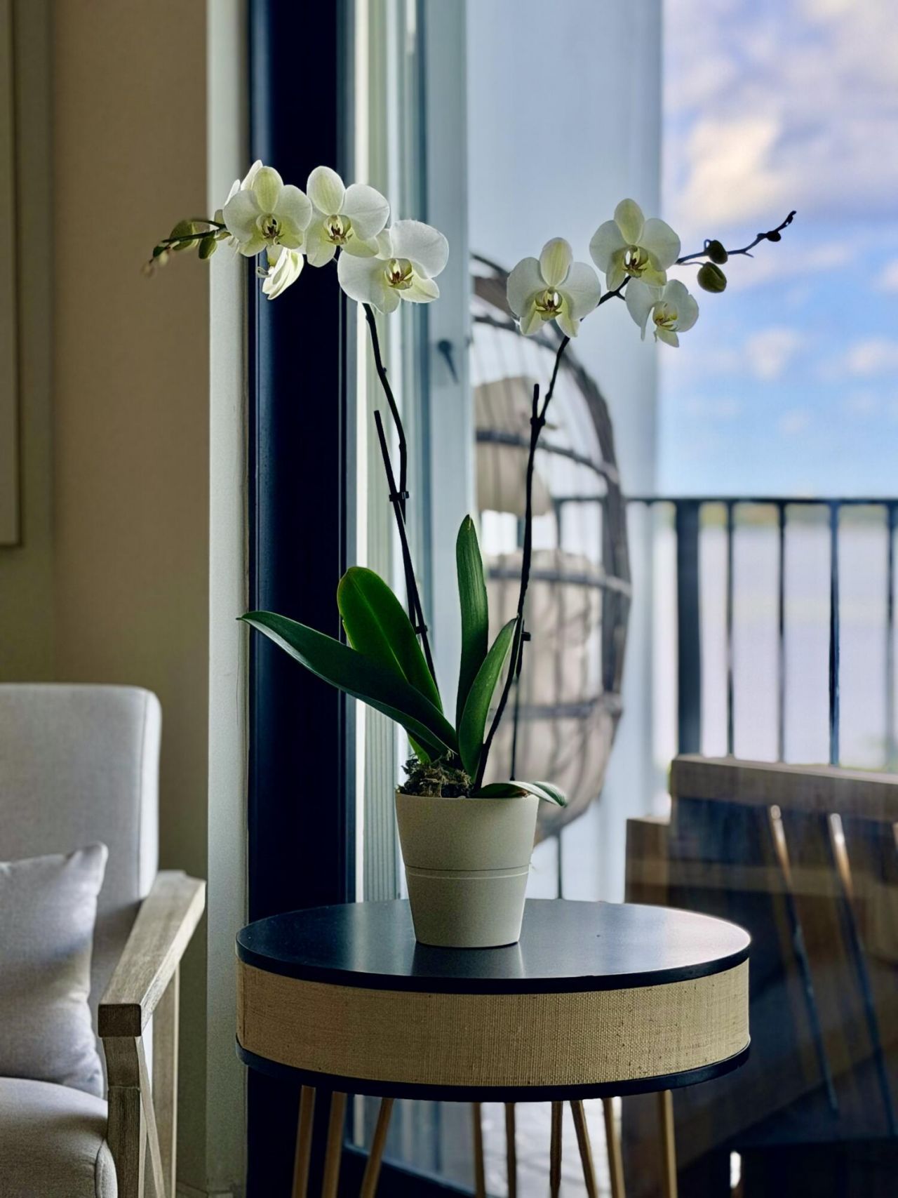 3460 S Ocean Boulevard, Unit 5110, Palm Beach, FL 33480 Photo