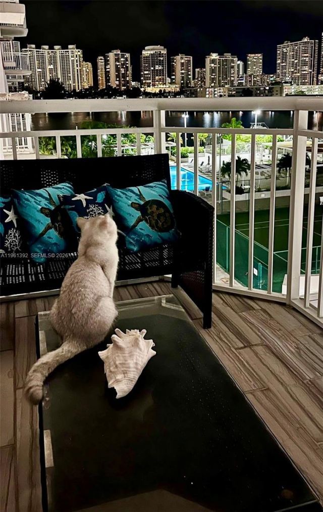 18051 Biscayne Blvd, Unit 503, Aventura, FL 33160 Photo