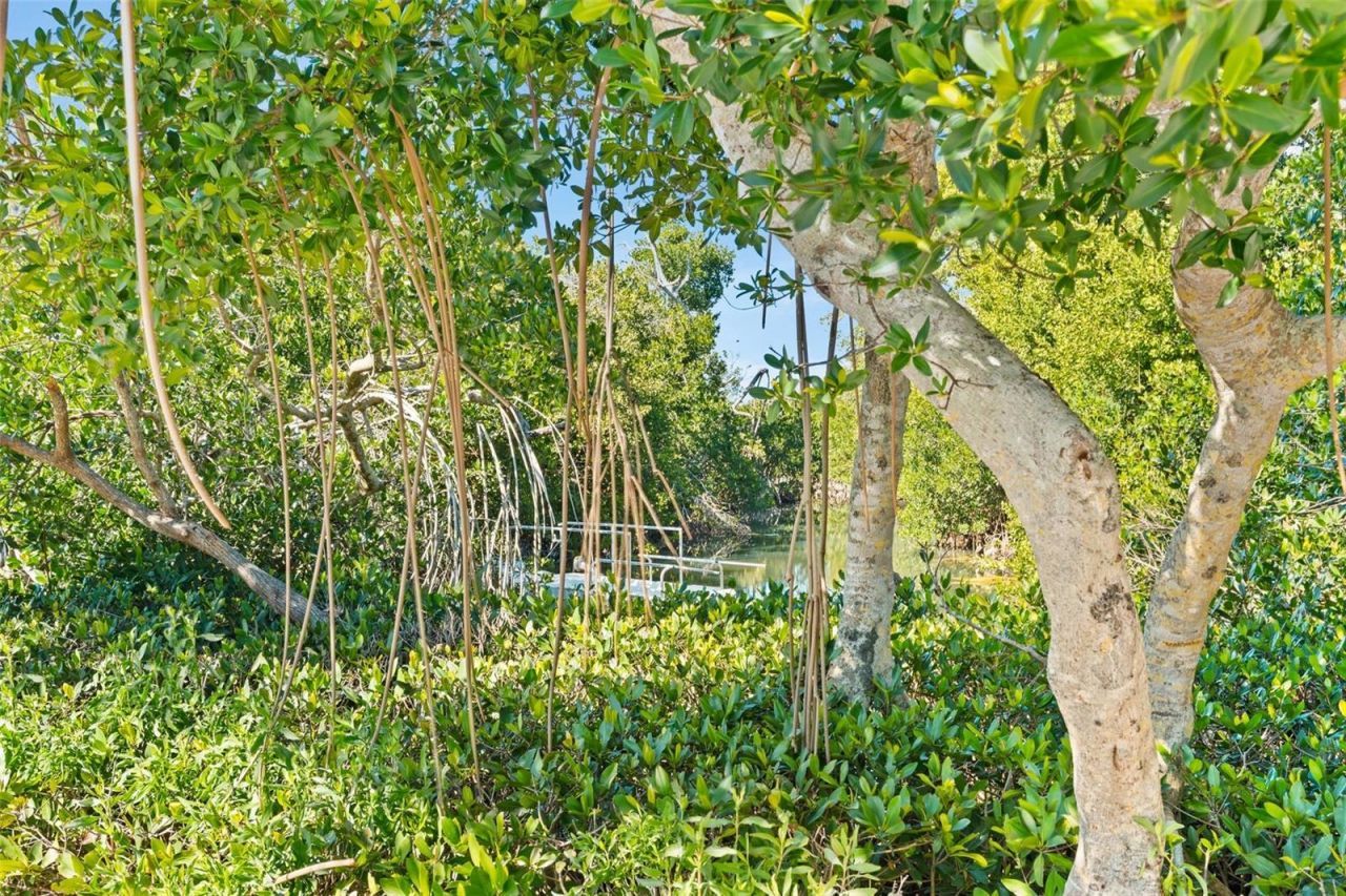 8600 Midnight Pass Road, Unit 301, Sarasota, FL 34242 Photo