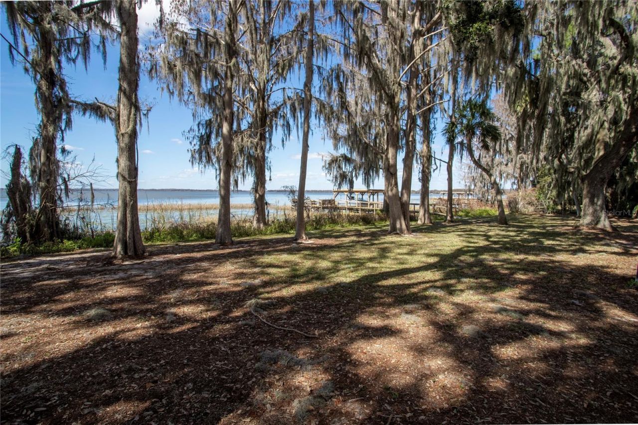 31035 Cove Road, Tavares, FL 32778 Photo