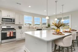 263 Hadley Springs Ave photo 4