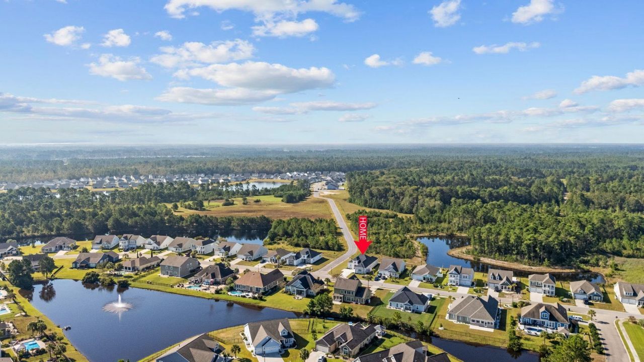 172 Sago Palm Dr. Photo 39