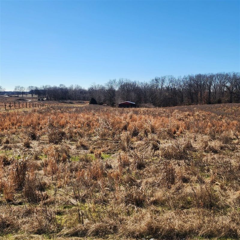 00 Charlie Butts Road, Franklin, KY 42134 Main Photo