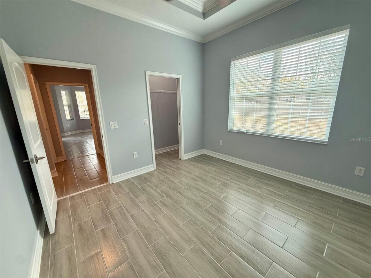 7460 Thunderhead Street, Wesley Chapel, FL 33544 Photo