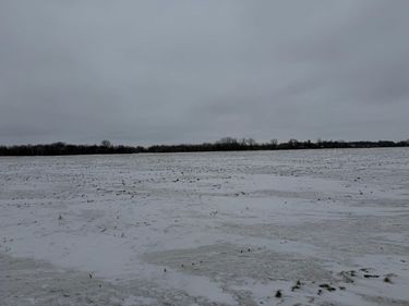 Section 31 Lake George Township , Belgrade, MN 56312