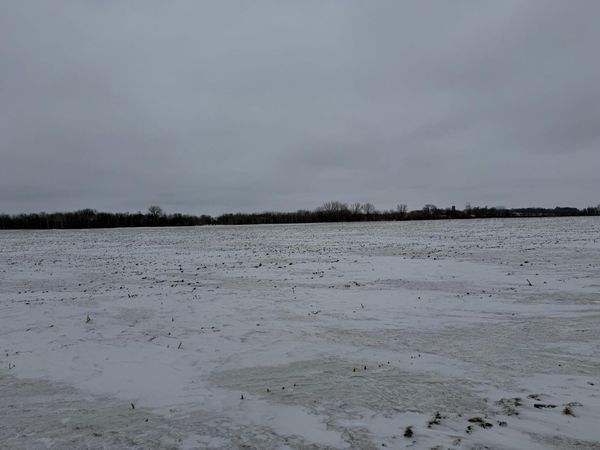 Section 31 Lake George Township , Belgrade, MN 56312