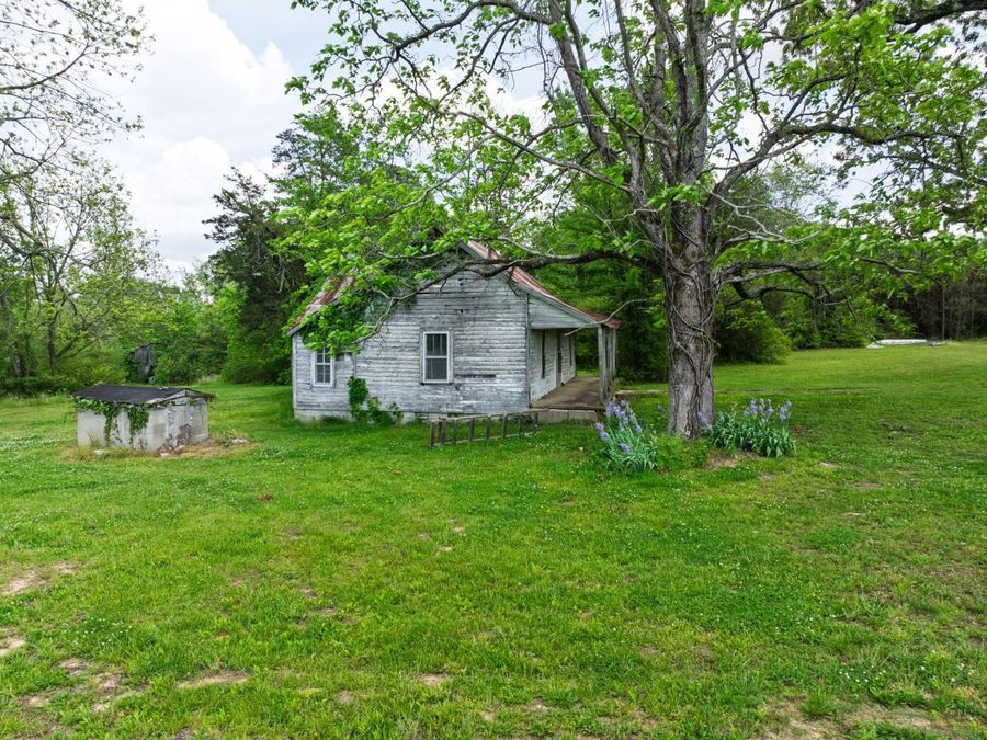 Property Image 65