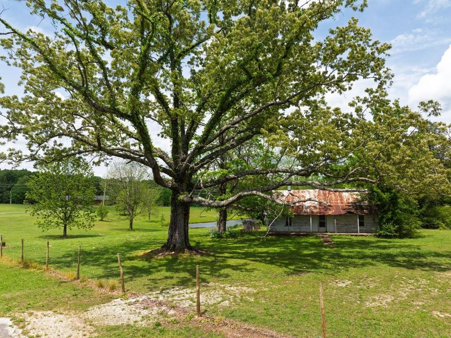 Property Image 68