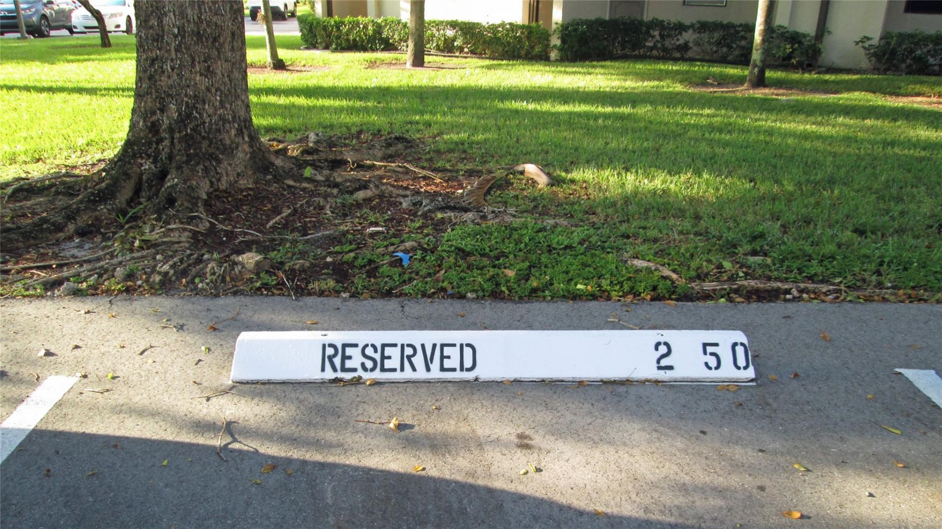 6351 N University Drive, Unit 224, Tamarac, FL 33321 Photo