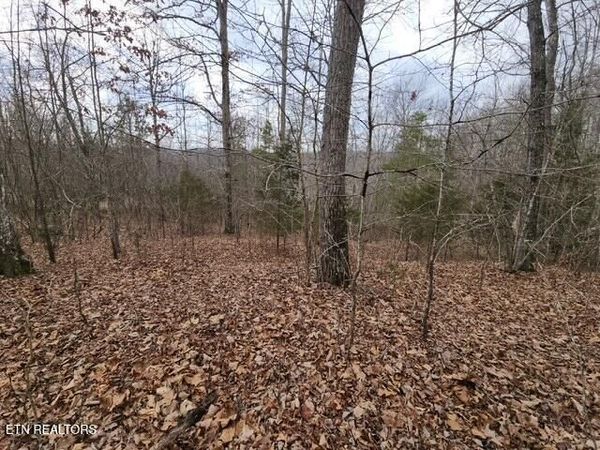 Whitetail Lane, LaFollette, TN 37766