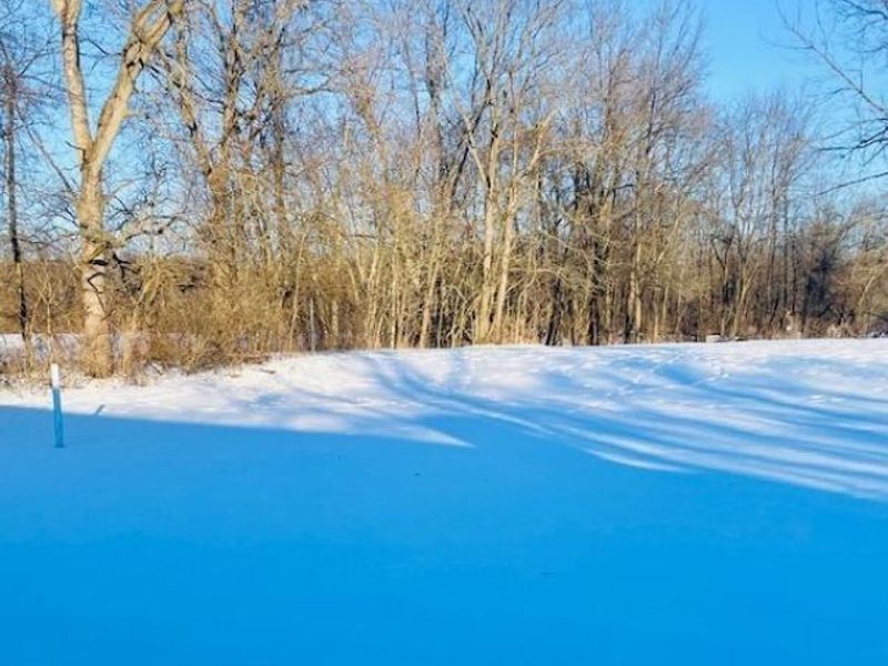 2321 County Road 24, Cardington, OH 43315 Photo 31