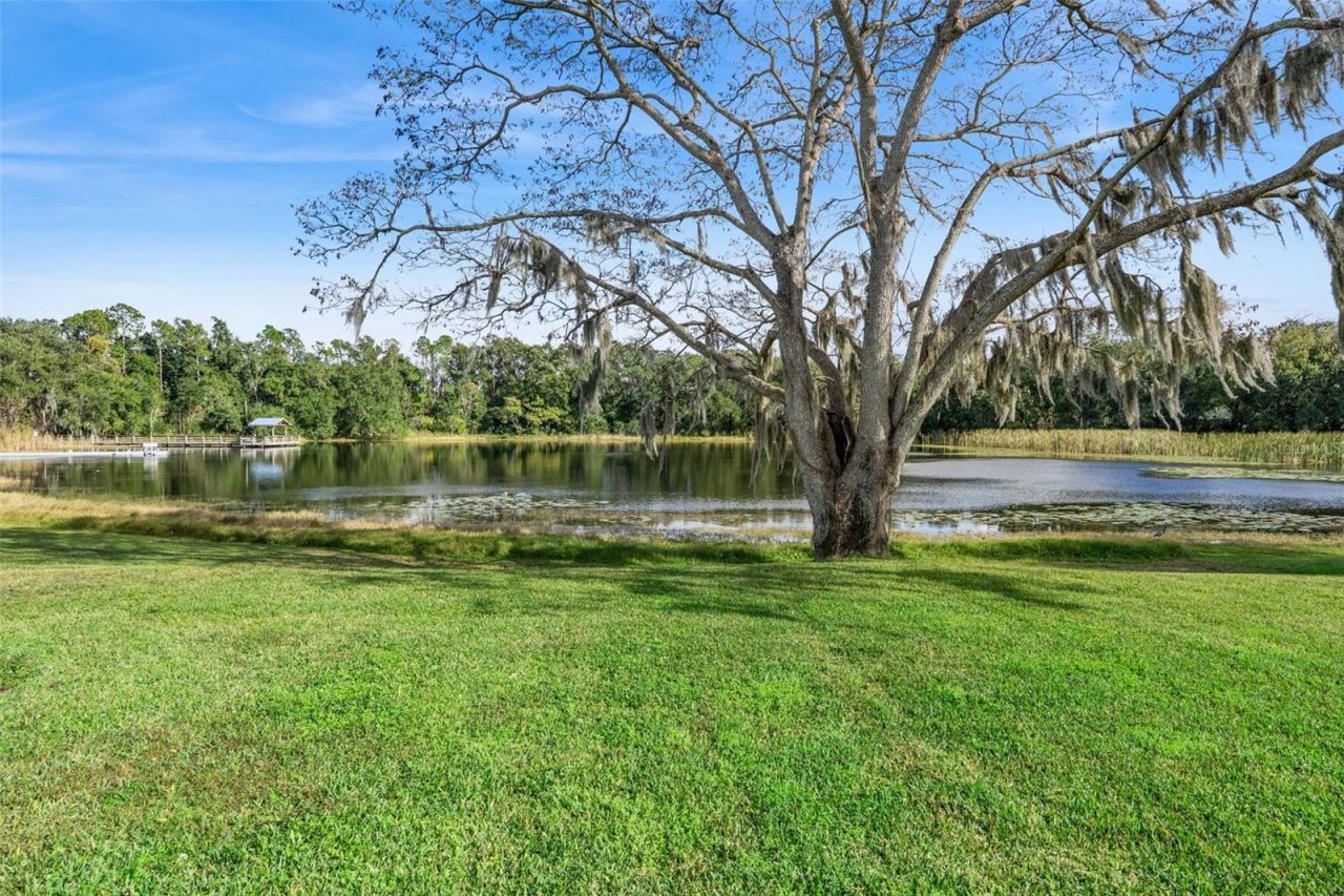 3352 Beazer Drive, Ocoee, FL 34761 Photo