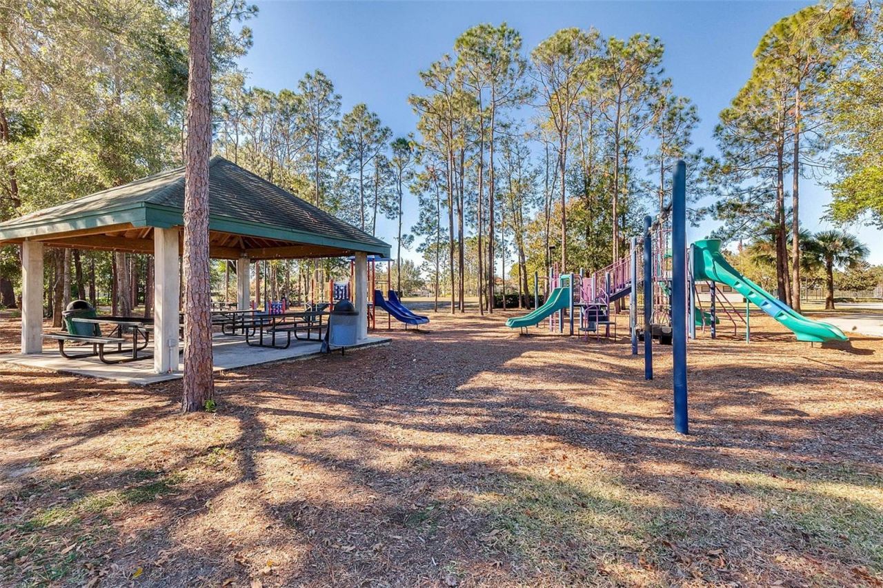 3352 Beazer Drive, Ocoee, FL 34761 Photo