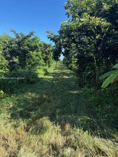 224xx SW 202 Ave, Homestead, FL 33170 Photo