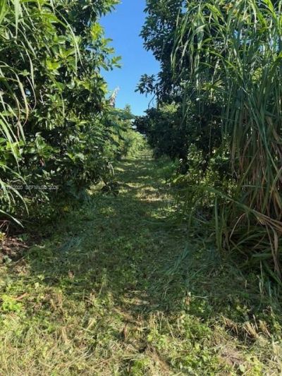 224xx SW 202 Ave, Homestead, FL 33170 Photo