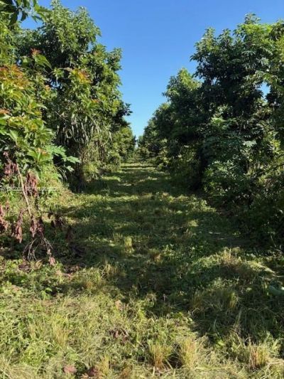 224xx SW 202 Ave, Homestead, FL 33170 Photo