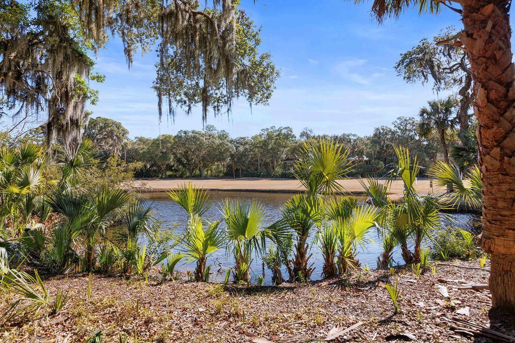 2441 The Bent Twig Photo 25