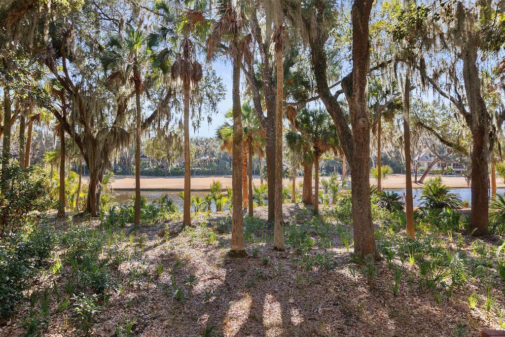 2441 The Bent Twig Photo 26