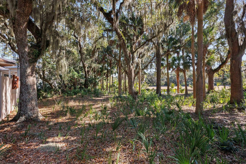 2441 The Bent Twig Photo 60