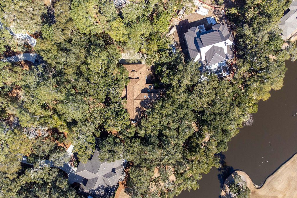 2441 The Bent Twig Photo 62