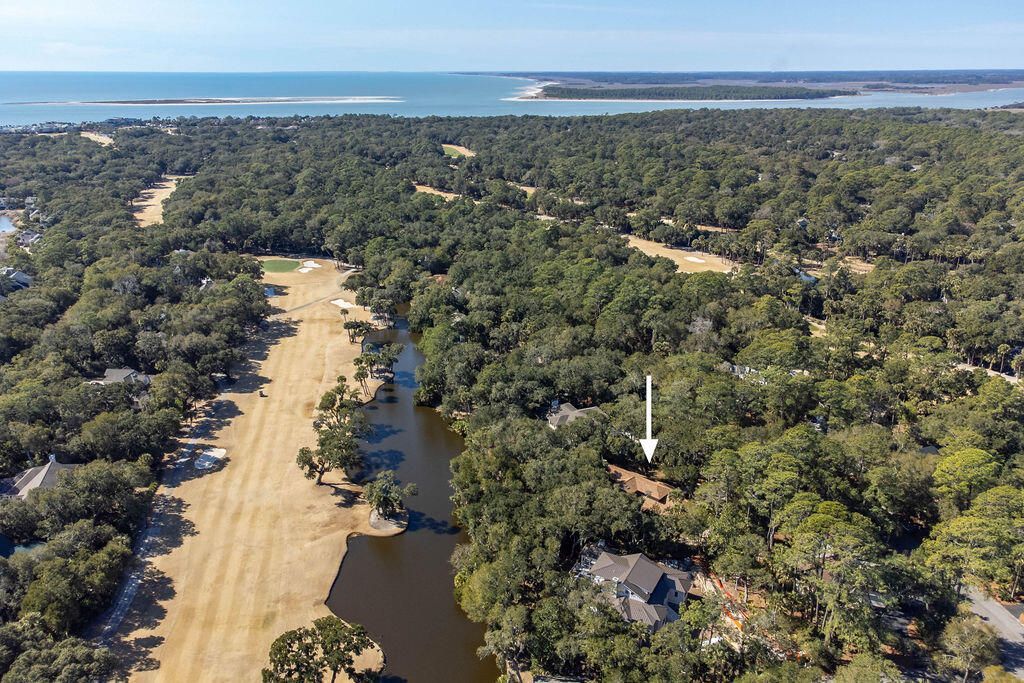 2441 The Bent Twig Photo 64