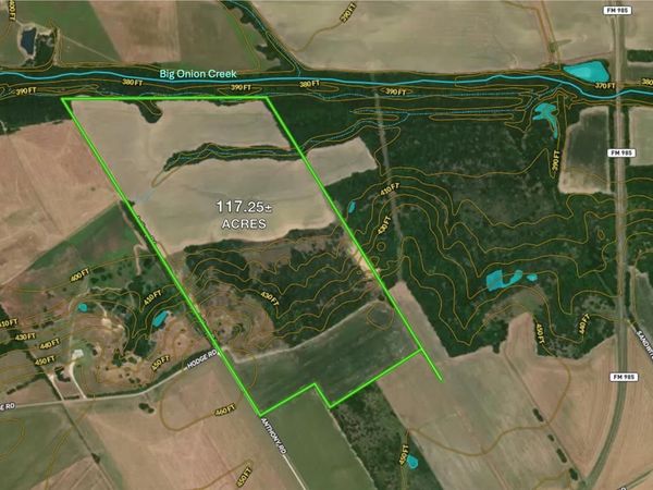 TBD 117 acres S Anthony Road , Ennis, TX 75119