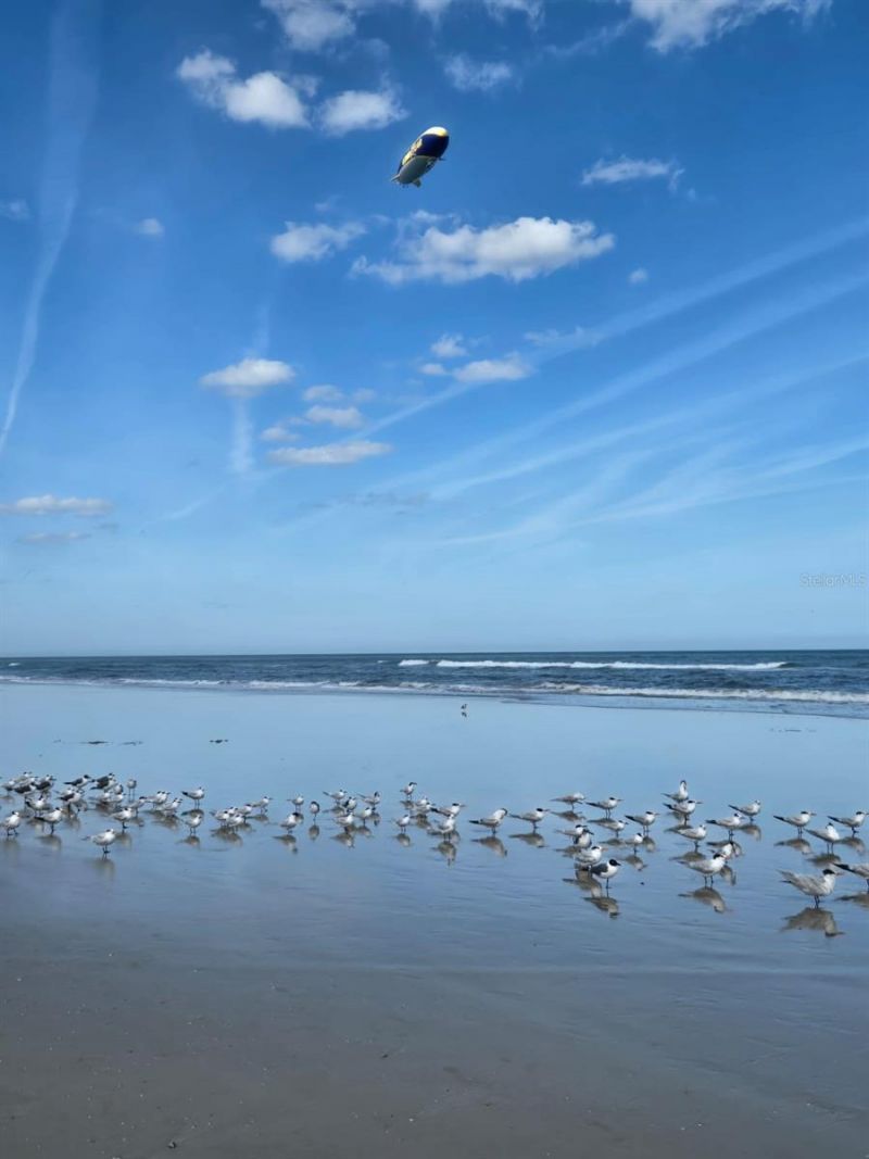 527 Safe Harbor Drive, Edgewater, FL 32141 Photo