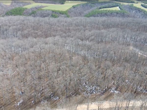 0 Three Rivers Drive, Hurricane Mills, TN 37078