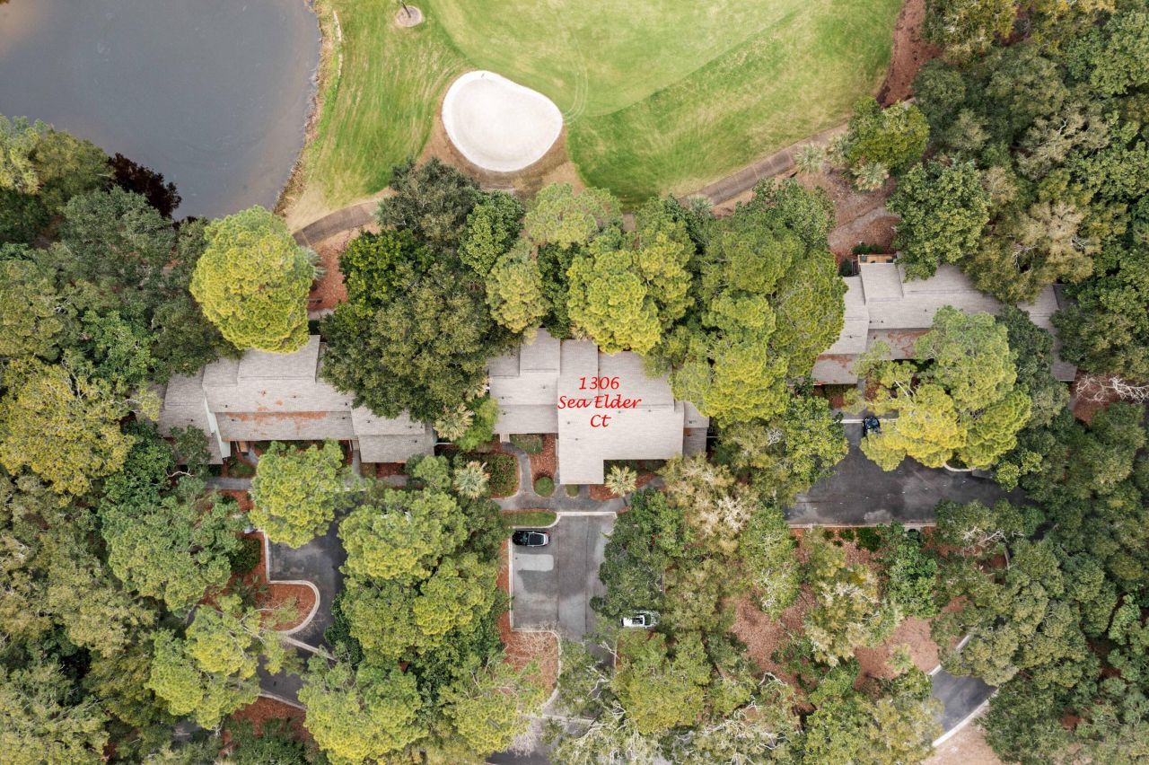 1306 Sea Elder Drive Photo 56