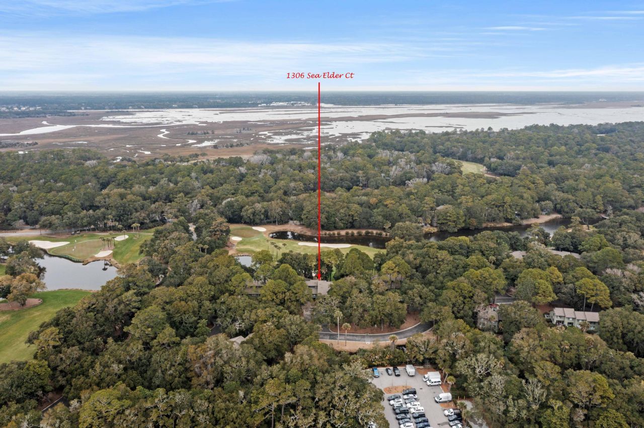 1306 Sea Elder Drive Photo 57