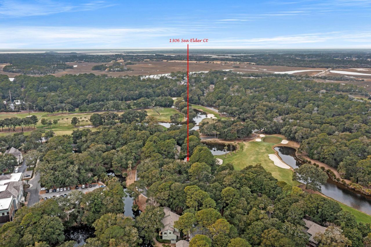 1306 Sea Elder Drive Photo 58