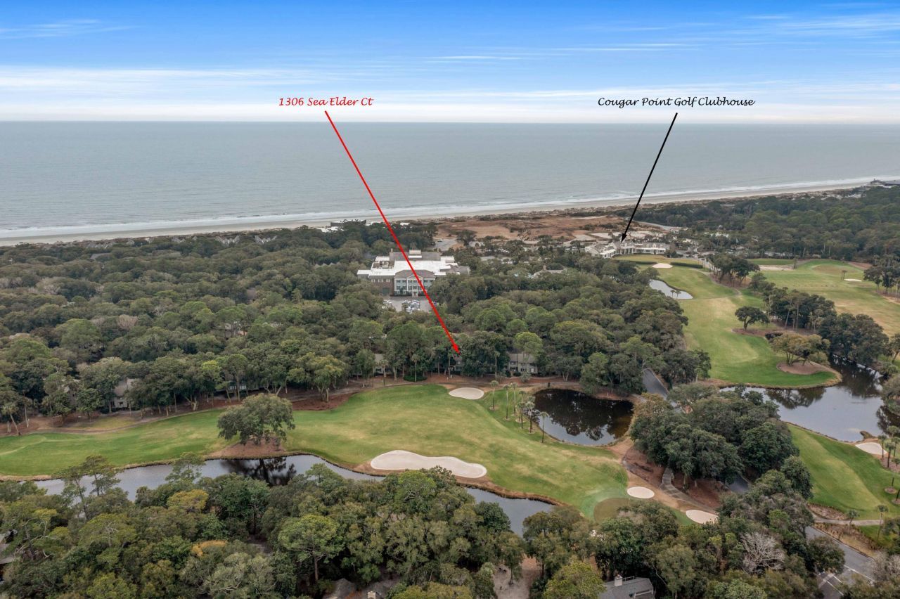 1306 Sea Elder Drive Photo 59