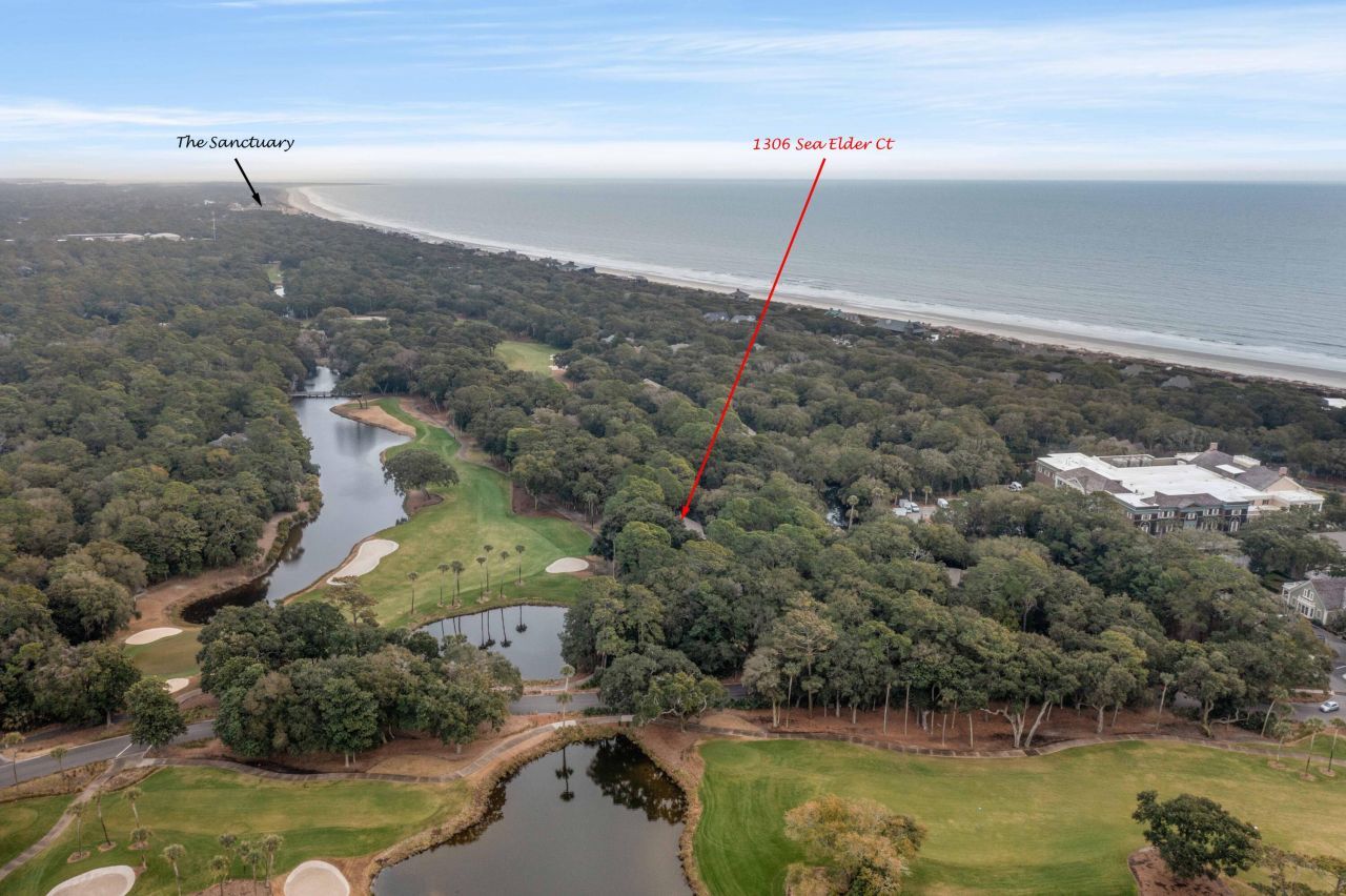 1306 Sea Elder Drive Photo 60