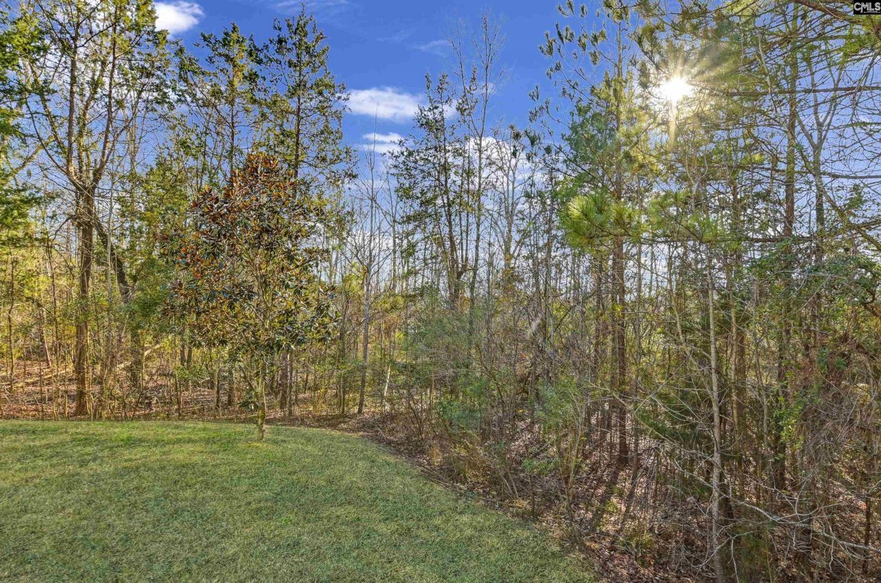 301 Explorer Drive  Photo 30