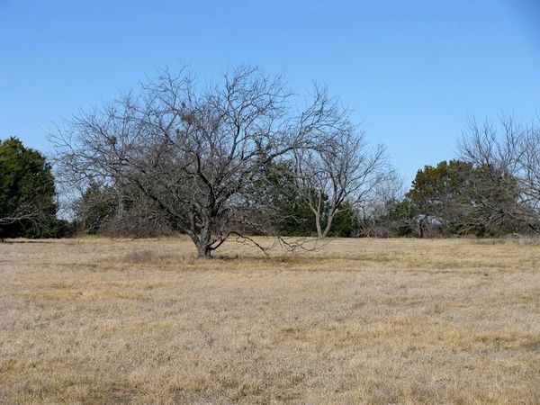 TBD Lot 2 Old Pidcoke Road , Gatesville, TX 76528